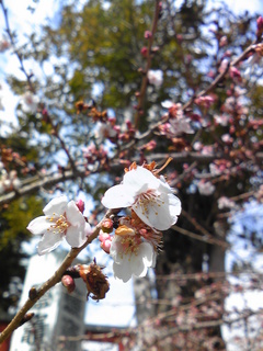 140322_115846.jpg